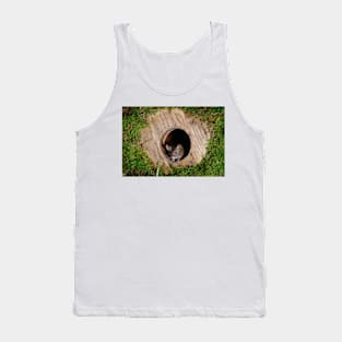 Mouse in a mossey hole Tank Top